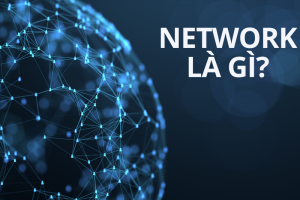 network là gì