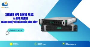 Server HPE Gen10 Plus và Gen11 dòng nào mang lại hiệu suất cao hơn